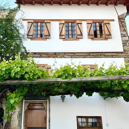 Vines & Views Ano Volos